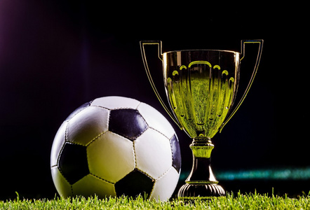 国足协的手 国足协的手