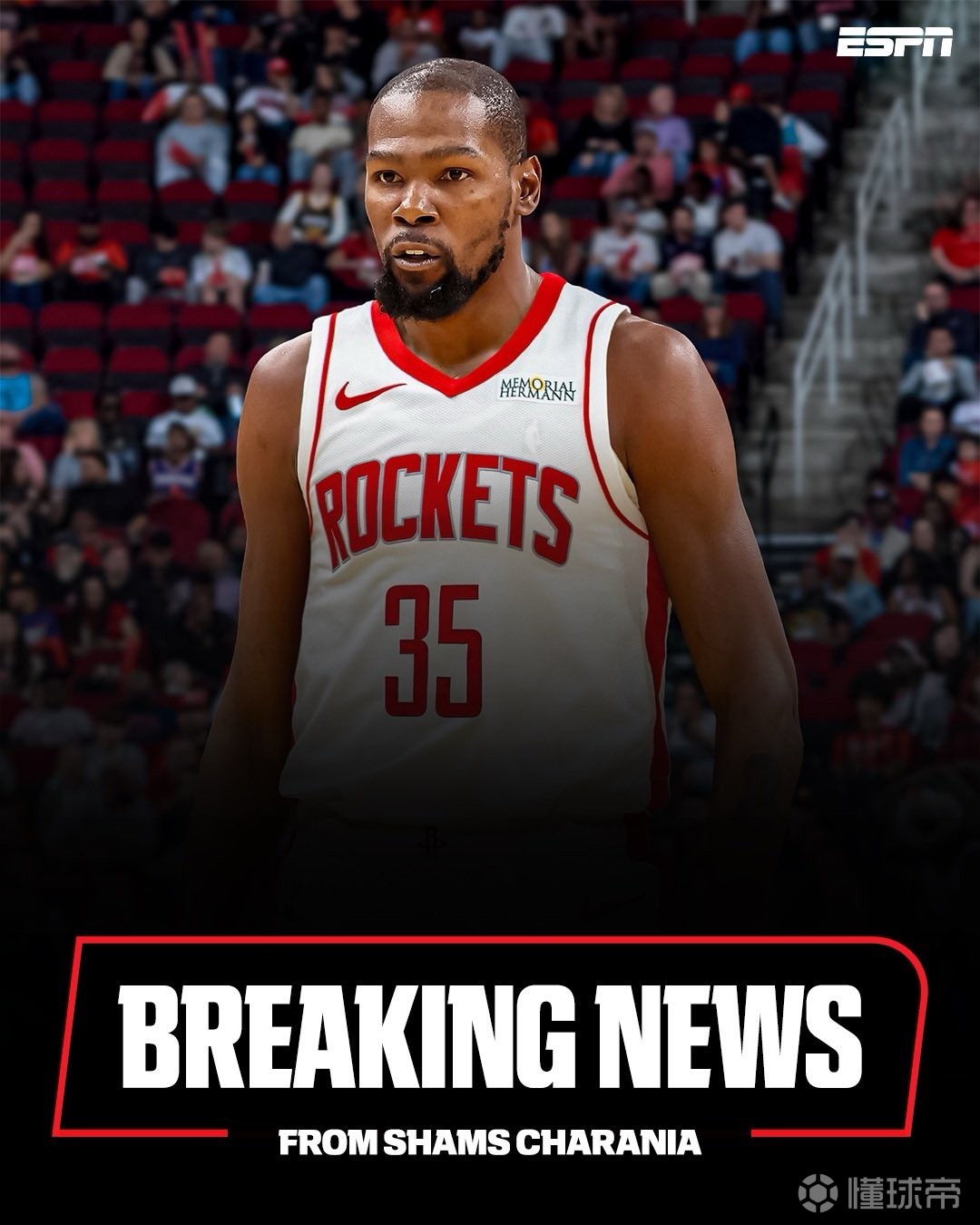 的脉络清晰 的脉络清晰